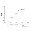 Recombinant Human E-Selectin/CD62E Protein