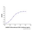 Recombinant Human CDK1 Protein