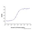Recombinant Human IL-6 Protein