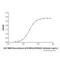 Recombinant Human p18 INK4c/CDKN2C Protein