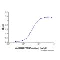 Recombinant Human PARK7/DJ1 Protein