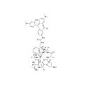 Phalloidin-TRITC,细胞骨架染料