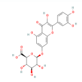 槲皮素7-O-β-D-葡糖醛酸