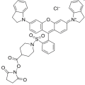 QSY21琥珀酰亚胺酯 