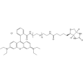 Rhodamine PEG Biotin, RB-PEG-Biotin