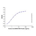 Recombinant Human ALCAM/CD166 Protein