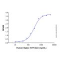 Recombinant Human CD52 Protein
