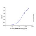 Recombinant Human CRTAM Protein