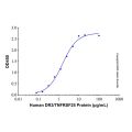 Recombinant Human DR3/TNFRSF25 Protein
