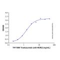 Recombinant Human ErbB2/Her2 Protein