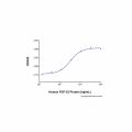 Recombinant Human FGF-23 Protein