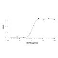 Recombinant Human GDF6 Protein