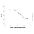 Recombinant Human IGFBP-6 Protein