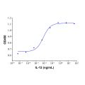 Recombinant Human IL-12 Protein