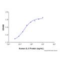 Recombinant Human IL-3 Protein