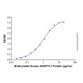 Recombinant Human LILRA5/CD85f/LIR-9 Protein