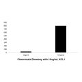 Recombinant Human XCL1 Protein