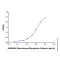Recombinant Human Myoglobin Protein