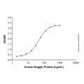 Recombinant Human Noggin Protein