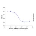 Recombinant Human TGF beta 2 Protein