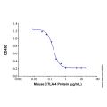 Recombinant Mouse CTLA-4 Protein