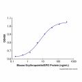 Recombinant Mouse Erythropoietin/EPO Protein