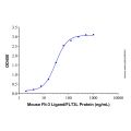 Recombinant Mouse Flt-3 Ligand/FLT3L Protein