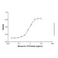 Recombinant Mouse IL-10 Protein