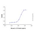 Recombinant Mouse IL-13 Protein