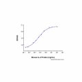 Recombinant Mouse IL-4 Protein