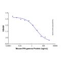 Recombinant Mouse IFN-gamma Protein