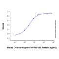 Recombinant Mouse Osteoprotegerin/TNFRSF11B Protein