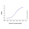 Recombinant Human IL-2 Protein