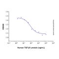 Recombinant Human TGF-beta 1 Protein