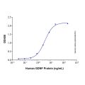 Recombinant Human GDNF Protein
