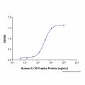 Recombinant Human IL-10 Protein