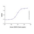 Recombinant Human VEGFA-165 Protein