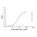 Recombinant Mouse ErbB3/Her3 Protein