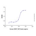 Recombinant Human VEGF 165 Protein