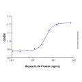 Recombinant Mouse IL-34 Protein