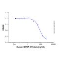 Recombinant Human IGFBP-5 Protein