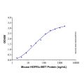 Recombinant Mouse HGFR/c-MET Protein
