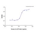 Recombinant Human IL-34 Protein