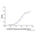 Recombinant Human CD28 Protein