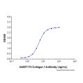 Recombinant Human Pro-Collagen I alpha 1/COL1A1 Protein