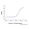 Recombinant Human IL-11 Protein