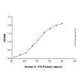 Recombinant Human IL-17A Protein