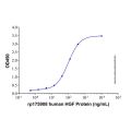 Recombinant Human HGFR/c-MET Protein