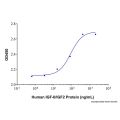 Recombinant Human IGF-II/IGF2 Protein
