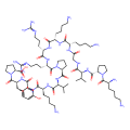 ACTH-(11-24)